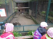 Výlet do ZOO Chleby a Labyrintária Loučeň